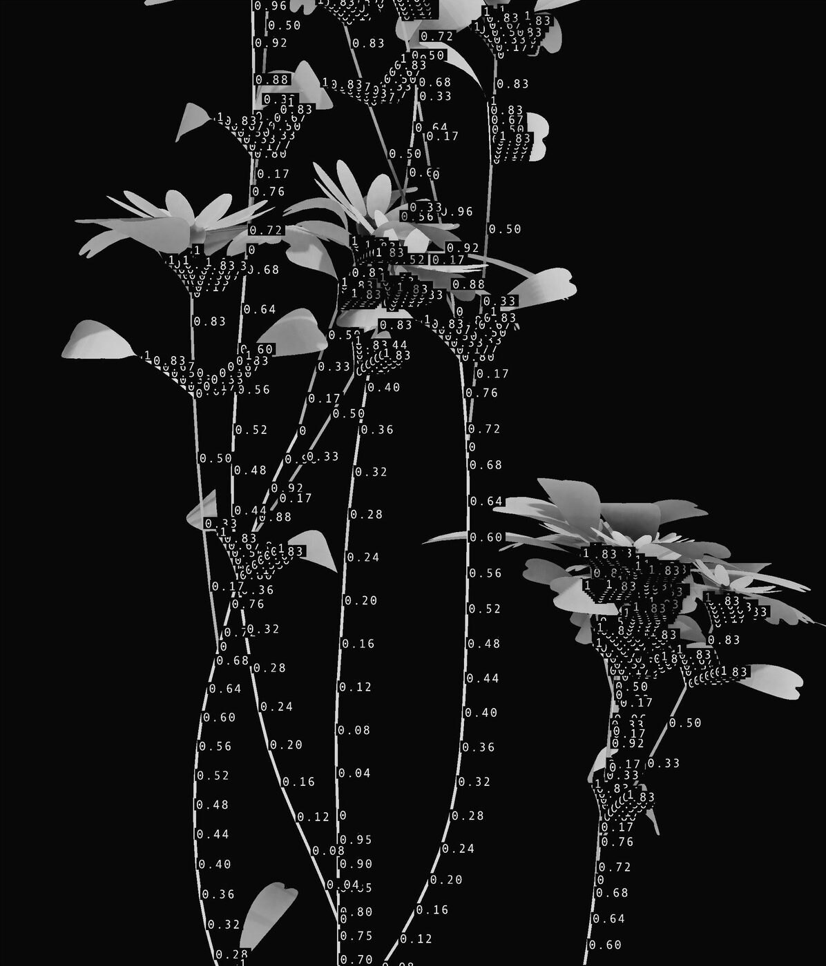 Flowering plants rendered in fine white lines and surrounded by columns of numerals on a dark ground.